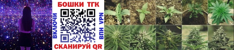 Купить наркоту Пыталово Псилоцибиновые грибы  MEGA онион  Меф мяу мяу  Гашиш  Амфетамин  КОКАИН 