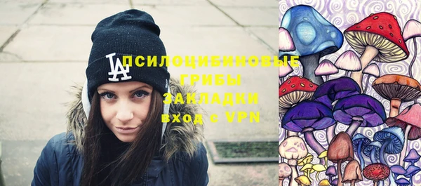 PSILOCYBIN Арсеньев