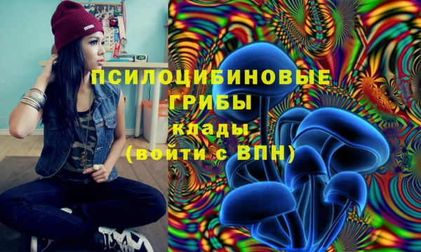 мяу мяу мука Армянск