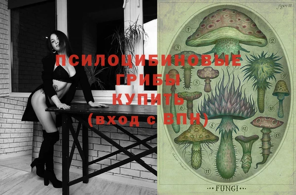 мяу мяу мука Армянск