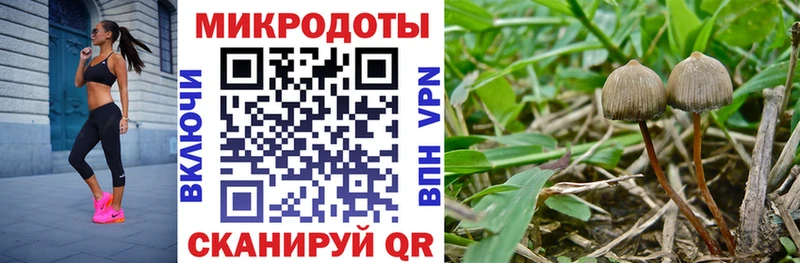 Галлюциногенные грибы MAGIC MUSHROOMS  Пыталово 