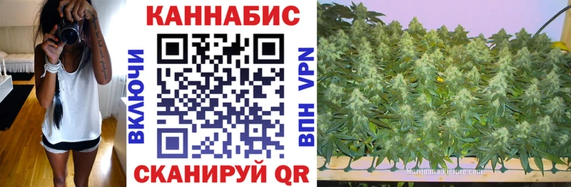 закладки  Пыталово  omg как войти  Бошки Шишки SATIVA & INDICA 